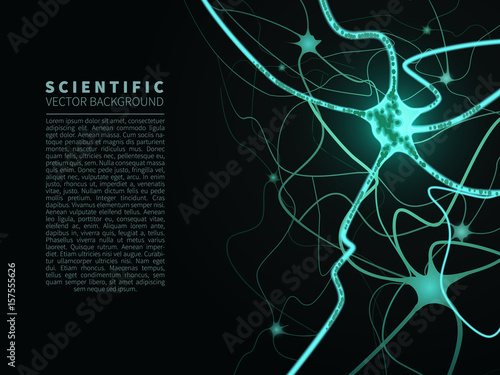 model of neural system
