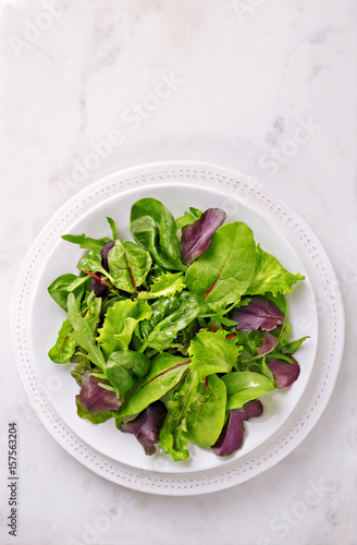 Salad in a plate viewed from above. Fresh lettuce and spinach as a healthy meal. Top view. Copy space