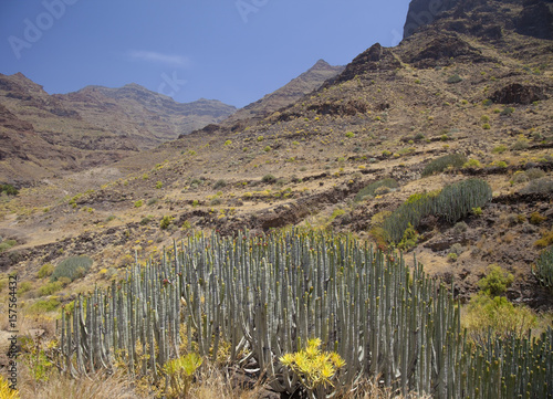 Western Gran Canaria, May photo