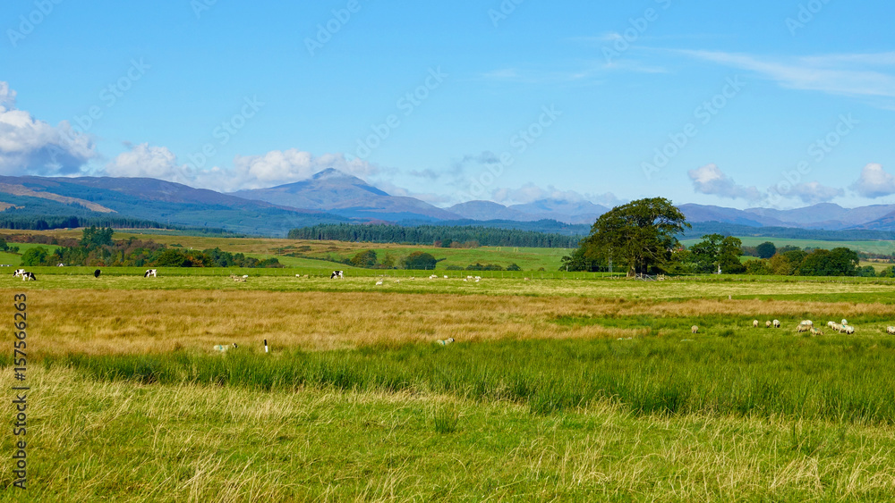 View over green fields with mountains in distance