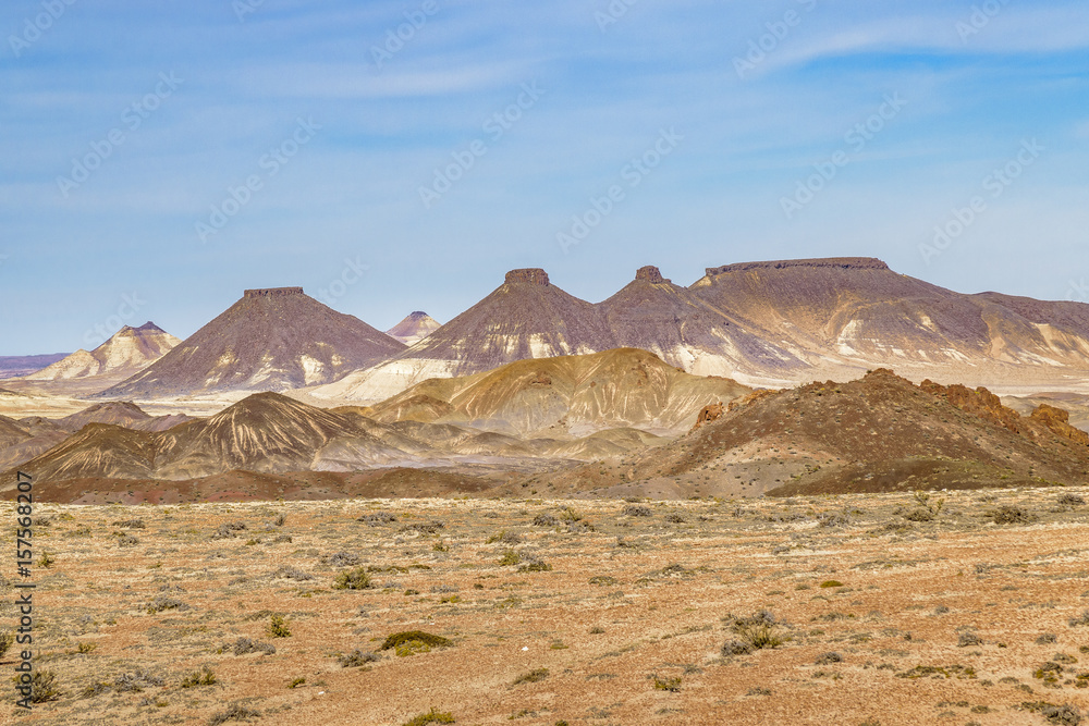 Petrified Forest National Park, Santa Cruz, Argentina Petrified Forest National Park, Santa Cruz, Argentina