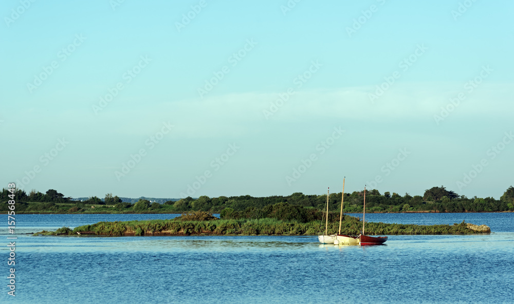 Obraz premium Ile dans le golfe du Morbihan