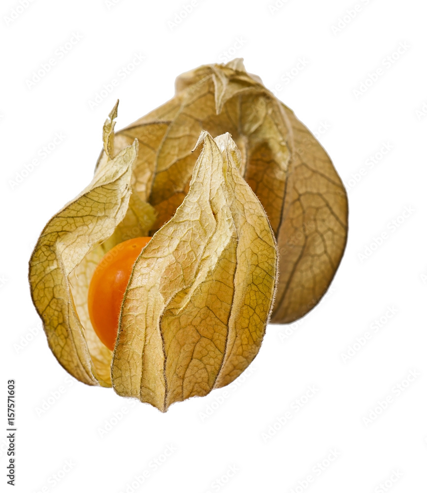Ripe physalis isolated on white background. Ripe physalis isolated on white background.