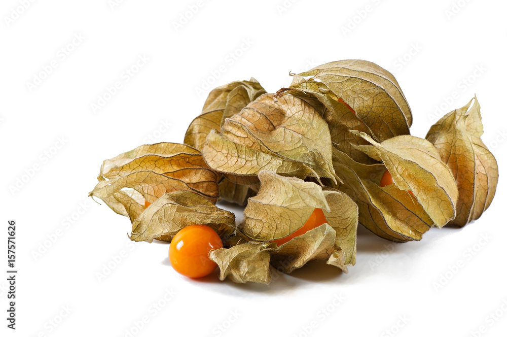 Ripe physalis isolated on white background. Ripe physalis isolated on white background.