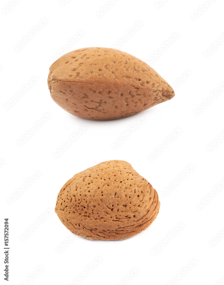 Single almond nut isolated Single almond nut isolated