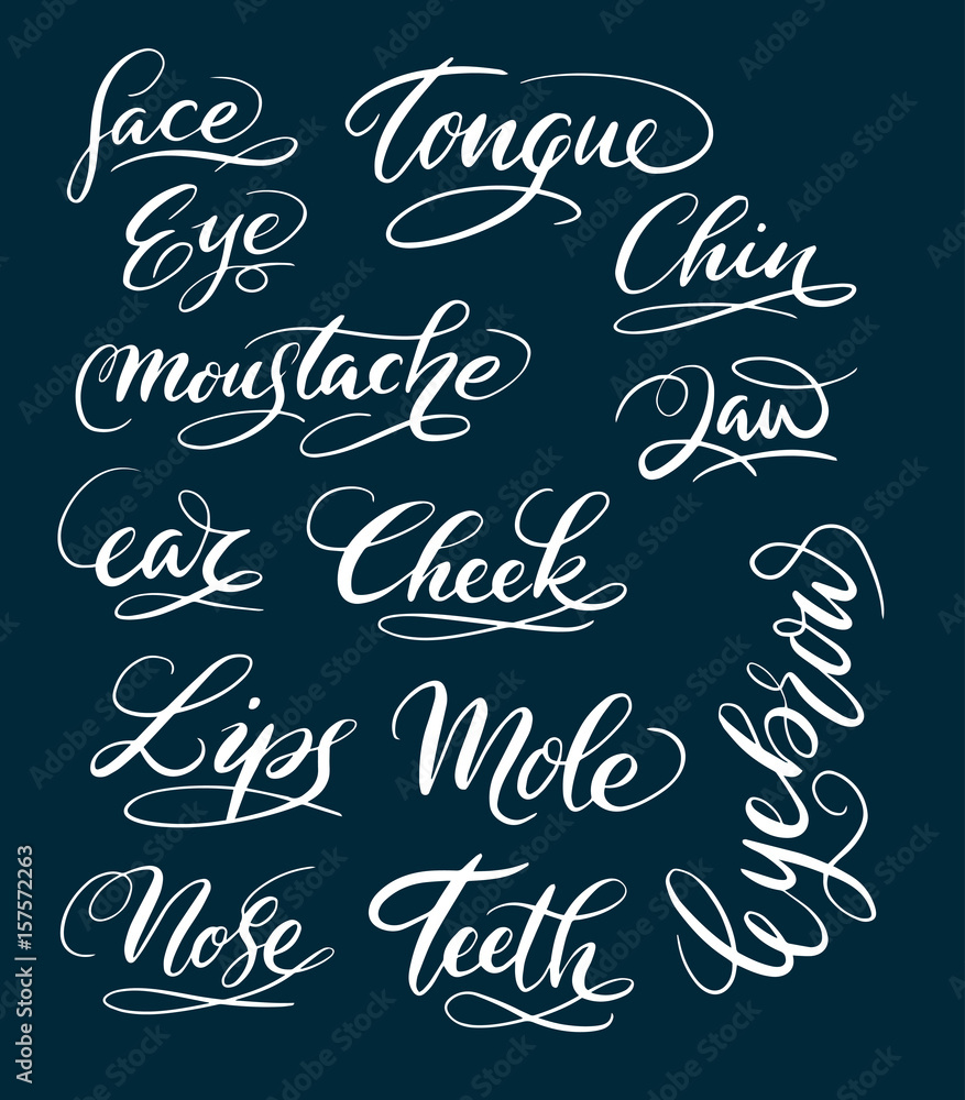 Face and eyes hand written typography. Good use for logotype, symbol, cover label, product, brand, poster title or any graphic design you want. Easy to use or change color
Face and eyes hand written typography. Good use for logotype, symbol, cover label, product, brand, poster title or any graphic design you want. Easy to use or change color