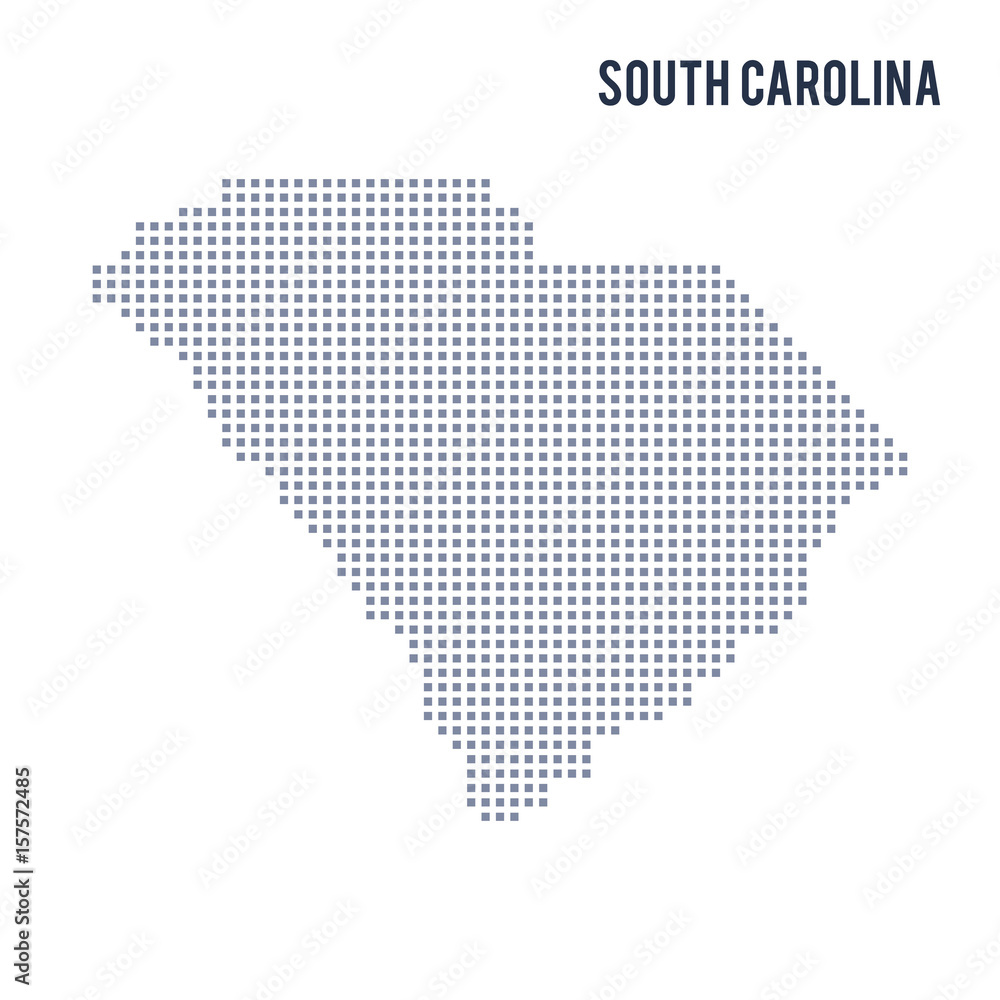 Vector pixel map State of South Carolina isolated on white background