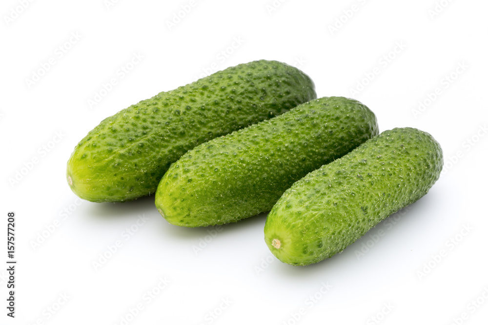 The first spring ecologically cucumbers. The first spring ecologically cucumbers.