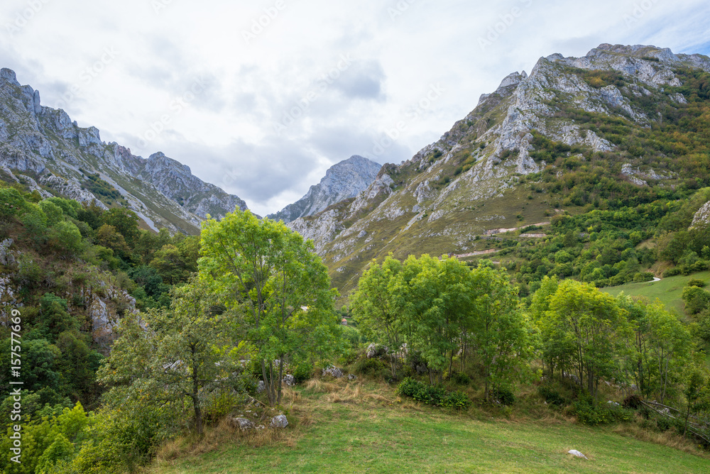 The valley of river Duje, Spanish Vale do Rio Duje, situated in east side of the mountain range Los Picos de Europa, Asturias Spain. The valley is wonderful for hiking and leads along the river Duje