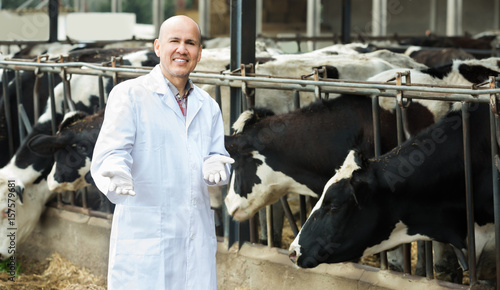 Portrait of male veterinary caring cows