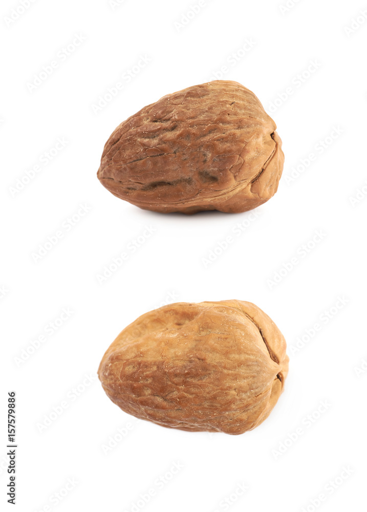 Single walnut isolated Single walnut isolated