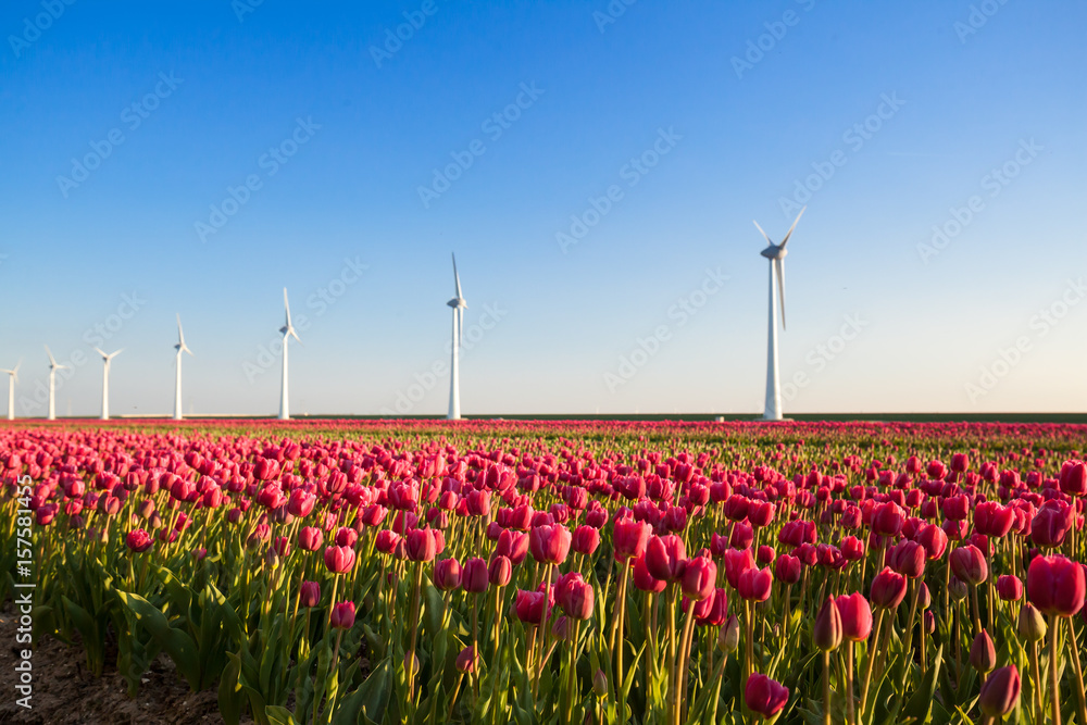 Wind farm