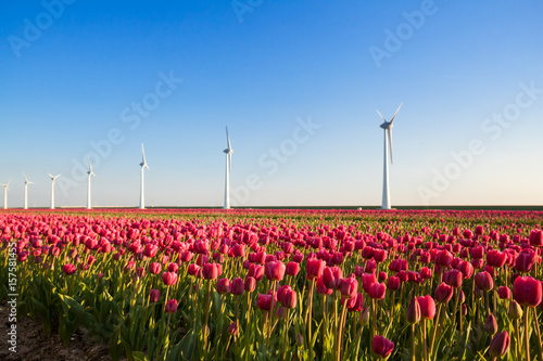Obraz na płótnie Wind farm w salonie