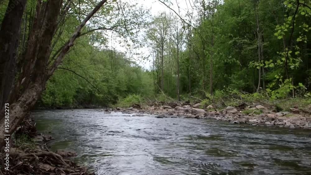 River flowing through woods - pan from left River flowing through woods - pan from left