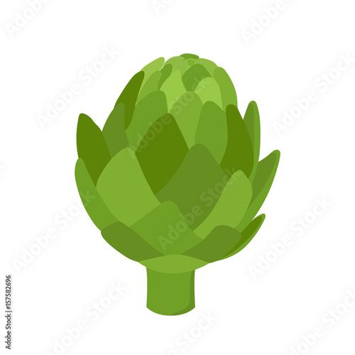 Healthy artichoke, organic farm product. Green vegetable