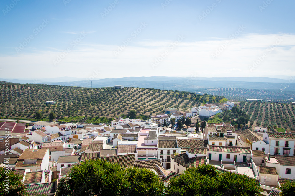 Andalusian mountain village with olive trees in Spain on a day in spring