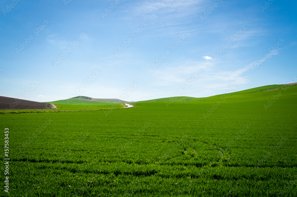 Andalusian landscape with green hills and fields in Spain on a day in spring
