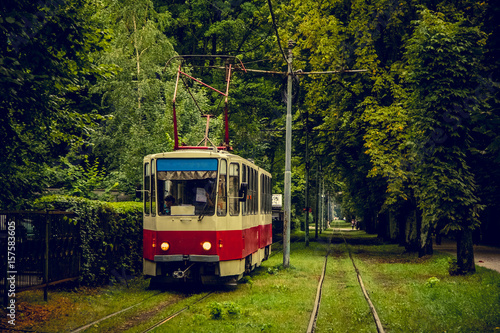 Old red tram goes through a tunnel of the thickets of trees in the forest park