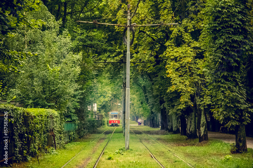 Tram line runs in the thickets of trees. Old red tram at the perspective distance. Tram goes through a tunnel in the forest park