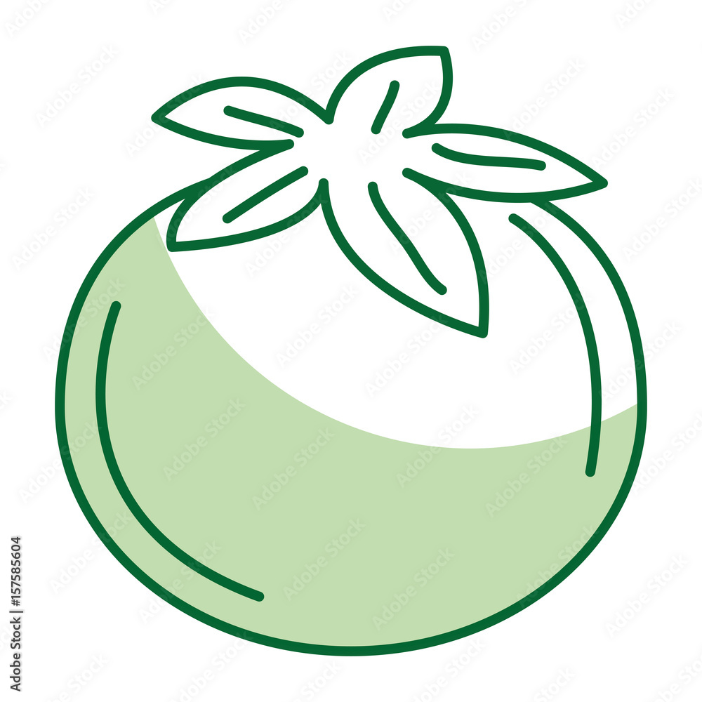 tomato fresh vegetable icon vector illustration design tomato fresh vegetable icon vector illustration design