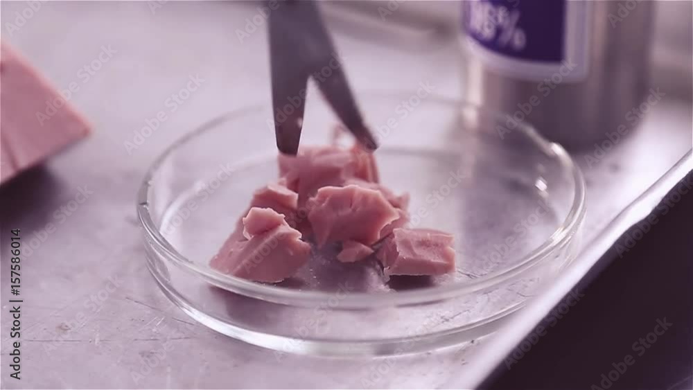 A laboratory employee cuts out sausage scissors, meat food product in a petri dish. Quality control of food in the laboratory. Grinding of the sample in the laboratory for analysis, research. A laboratory employee cuts out sausage scissors, meat food product in a petri dish. Quality control of food in the laboratory. Grinding of the sample in the laboratory for analysis, research.