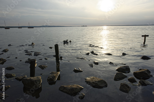 Enten in Steinhude am Steihuder Meer,Sonnenuntergang. photo