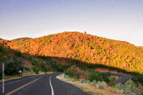 Photography Hairpin Turn