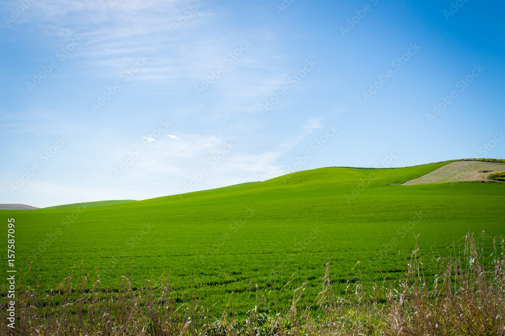 Andalusian landscape with green hills and fields in Spain on a day in spring Andalusian landscape with green hills and fields in Spain on a day in spring