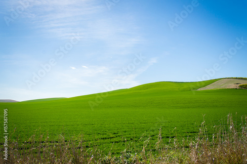 Andalusian landscape with green hills and fields in Spain on a day in spring