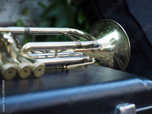 Detail of trumpet on black case.