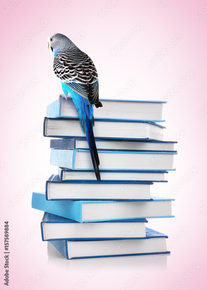 Naklejka premium Pile of books on white background
