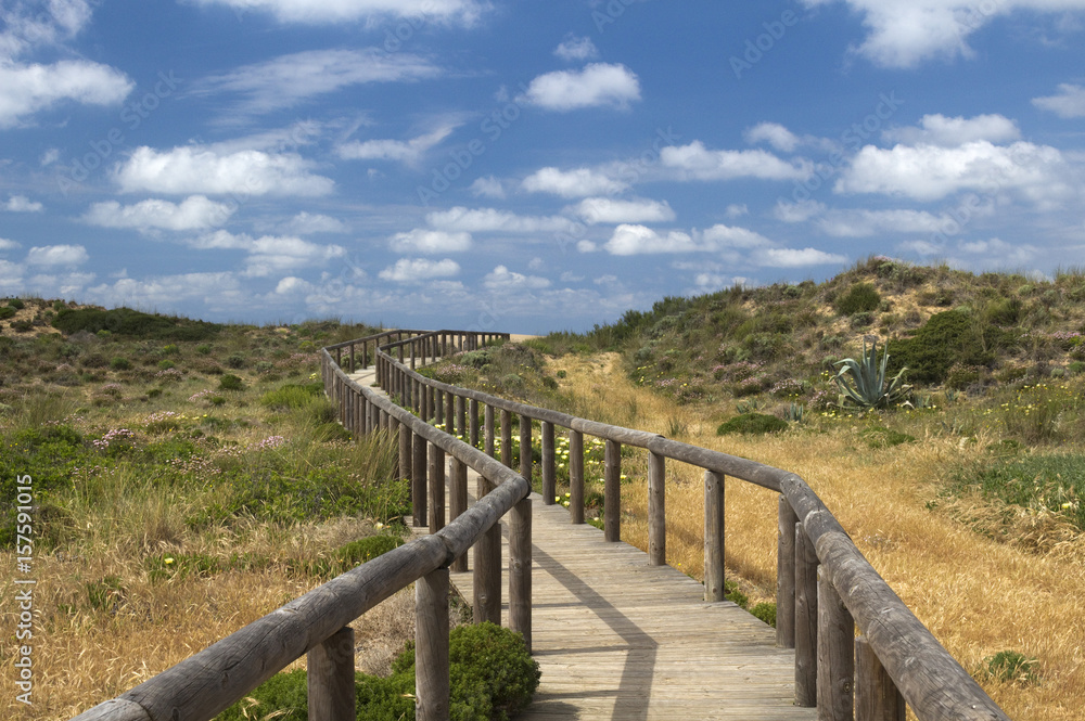 Wooden walkway leading to Bordeira Beach, Algarve,  Portugal
