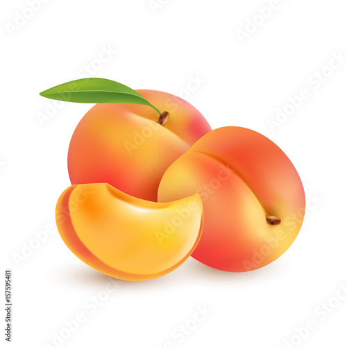 Ripe peaches, whole and slice. Fully editable handmade mesh. Vector illustration.