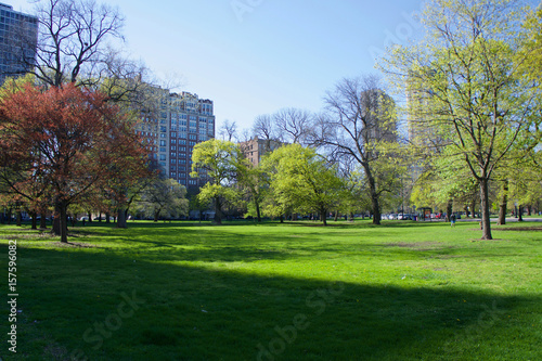 Park in city