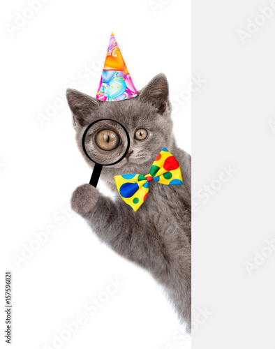Fototapeta Naklejka Na Ścianę i Meble -  Funny cat in birthday hat looks thru a magnifying lens. Isolated on white background