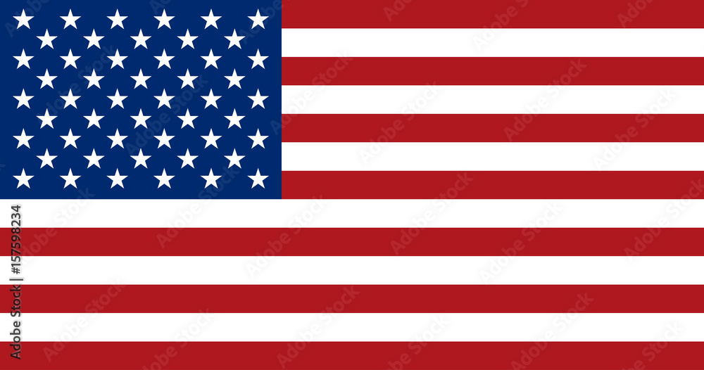 Obraz premium American flag, flat layout, vector illustration