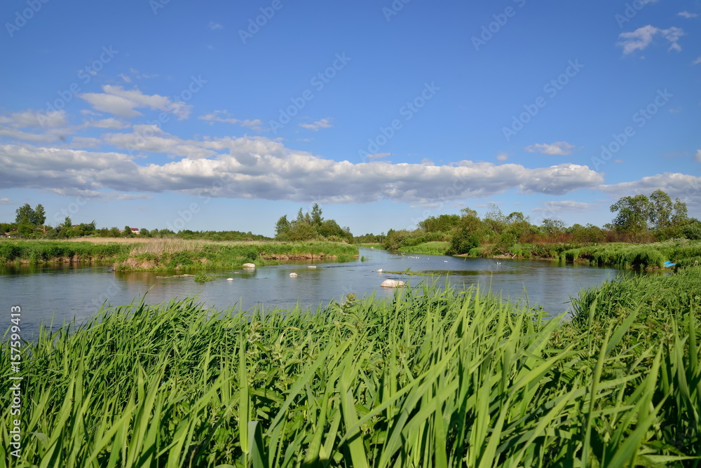 A river among fields of Sunny day