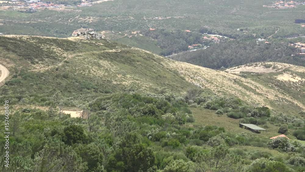 Hilly Landscape And Windy Forest Hilly Landscape And Windy Forest