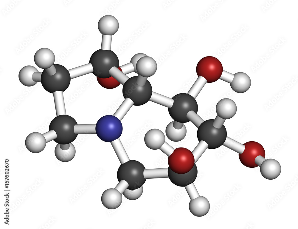 Castanospermine alkaloid molecule. Isolated from Castanospermum australe. 3D rendering. Atoms are represented as spheres with conventional color coding. Castanospermine alkaloid molecule. Isolated from Castanospermum australe. 3D rendering. Atoms are represented as spheres with conventional color coding.