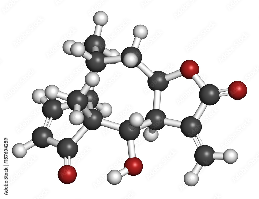 Helenalin sesquiterpene lactone molecule. Toxin found in Arnica montana. 3D rendering. Atoms are represented as spheres with conventional color coding: hydrogen (white), carbon (grey), oxygen (red). Helenalin sesquiterpene lactone molecule. Toxin found in Arnica montana. 3D rendering. Atoms are represented as spheres with conventional color coding: hydrogen (white), carbon (grey), oxygen (red).