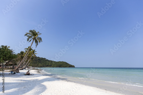 Fototapeta Naklejka Na Ścianę i Meble -  Beach Summer holidays - clear blue sky vs coconut trees