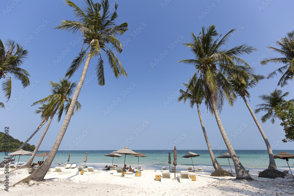 Beach Summer holidays - clear blue sky vs coconut trees