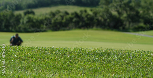 Man squats down looking at golf ball to get a better shot. Shallow depth of field focus on the foreground. Man playing golf on golf course in the summer. Midway, Utah. Blades of grass in focus.