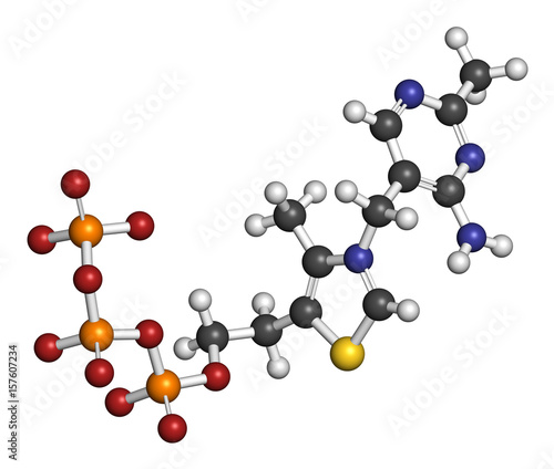 Thiamine triphosphate molecule. 3D rendering. Atoms are represented as spheres with conventional color coding.