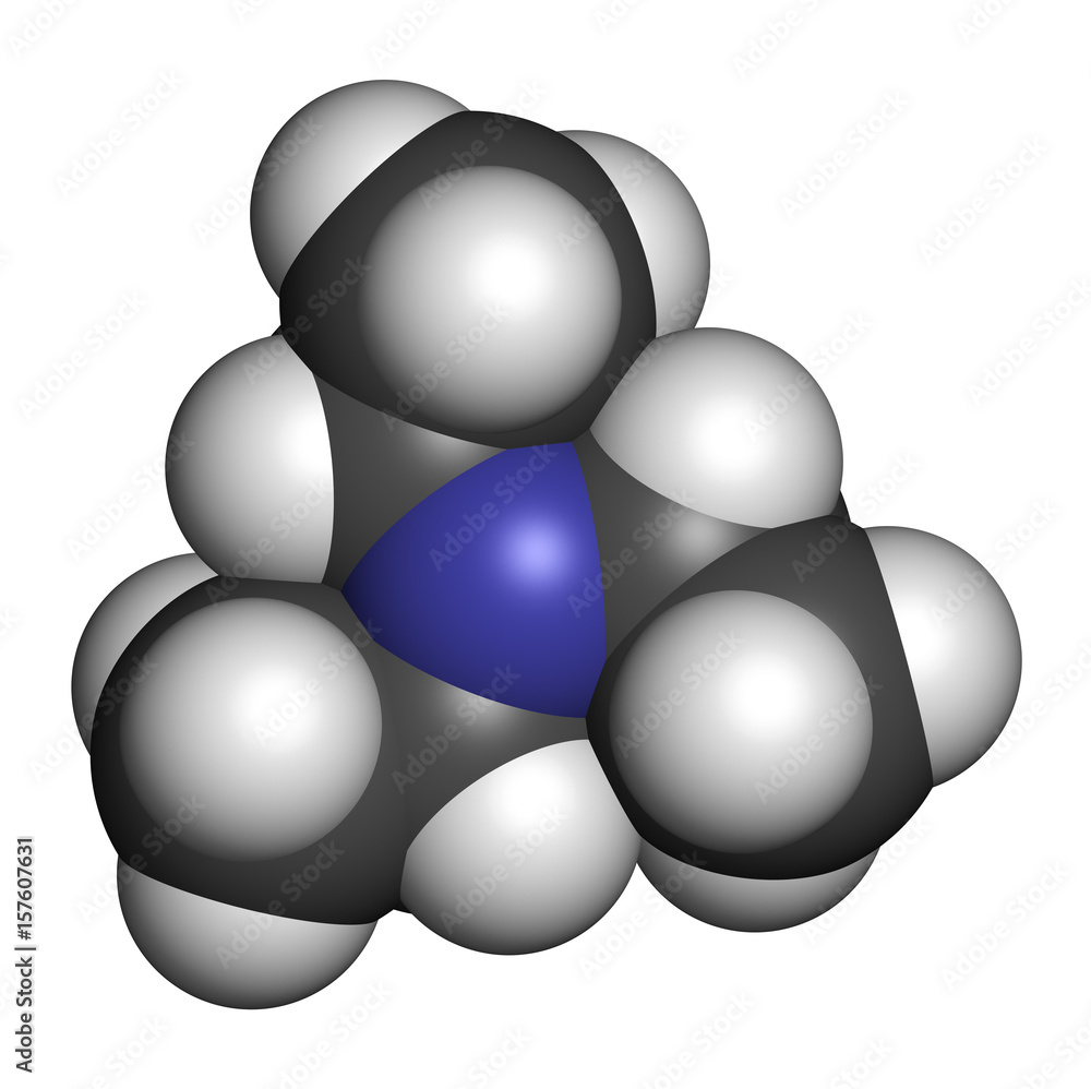 Triethylamine organic base molecule. 3D rendering. Atoms are represented as spheres with conventional color coding: hydrogen (white), carbon (grey), nitrogen (blue). Triethylamine organic base molecule. 3D rendering. Atoms are represented as spheres with conventional color coding: hydrogen (white), carbon (grey), nitrogen (blue).