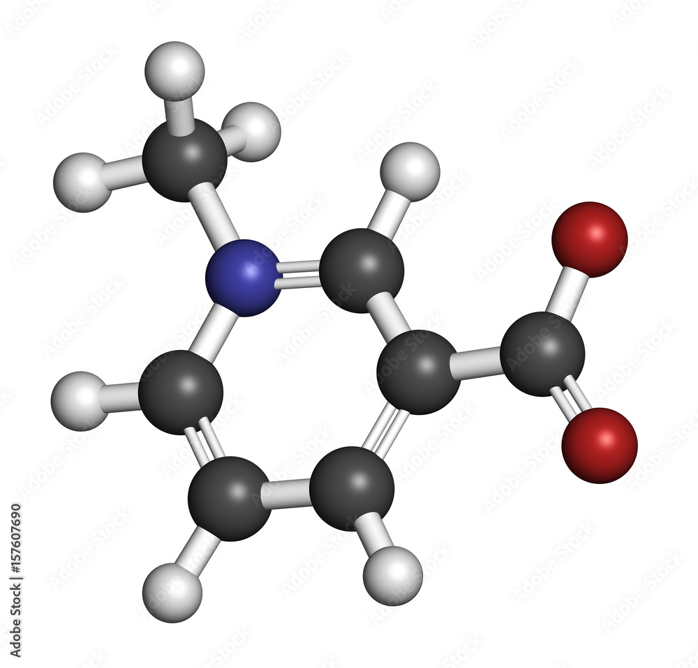 Trigonelline molecule. Metabolite of niacin (vitamin B3) but also found in a number of plants, including fenugreek. 3D rendering. Atoms are represented as spheres with conventional color coding Trigonelline molecule. Metabolite of niacin (vitamin B3) but also found in a number of plants, including fenugreek. 3D rendering. Atoms are represented as spheres with conventional color coding