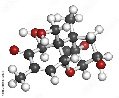 Vomitoxin (deoxynivalenol, DON) mycotoxin molecule. 3D rendering. Atoms are represented as spheres with conventional color coding: hydrogen (white), carbon (grey), oxygen (red). photo