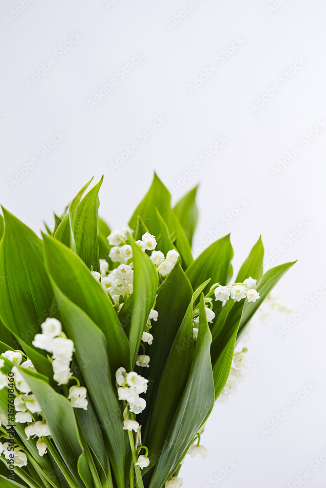 Fototapeta premium bouquet 