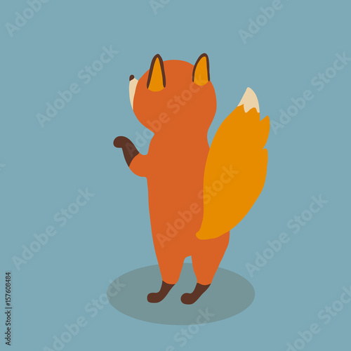 Red fox back view