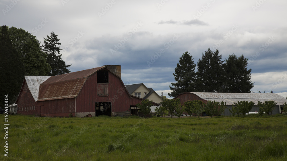 Fototapeta premium Old Rustic and Weathered Red Wooden Barn in the Country, Green Field, Trees in Background, Vivid Blue Sky with White Clouds, Daytime, Oregon - Use with Text Copy Space Overlay
